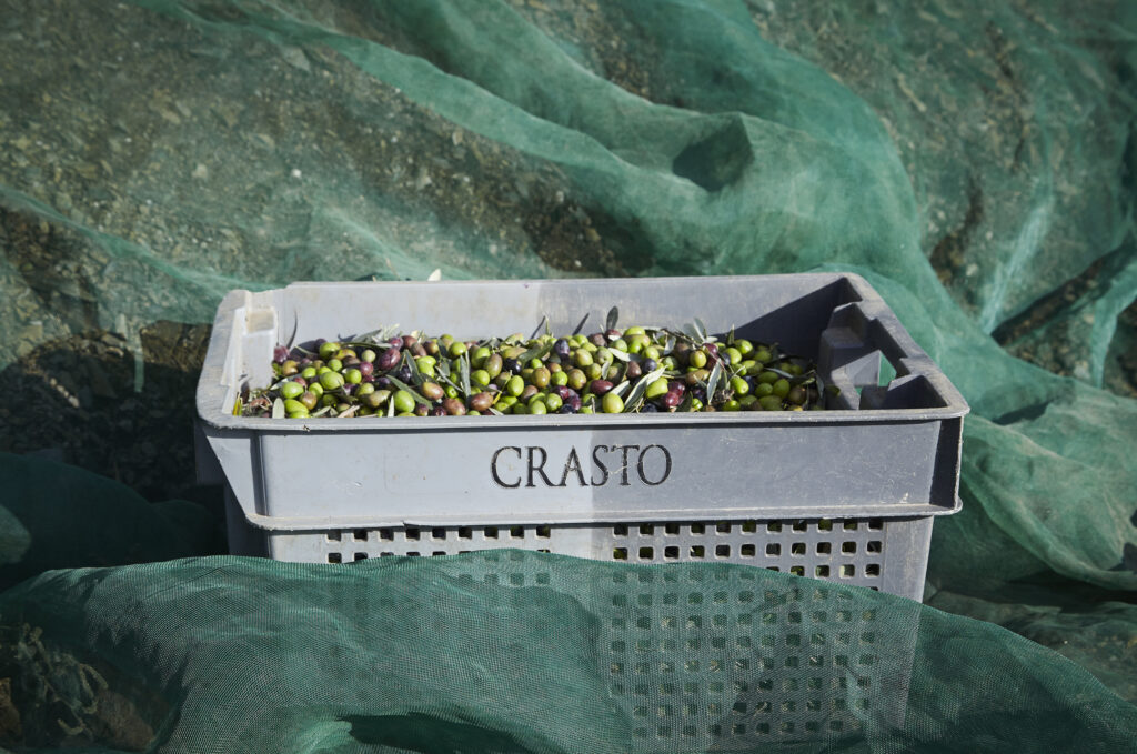 Quinta do Crasto
